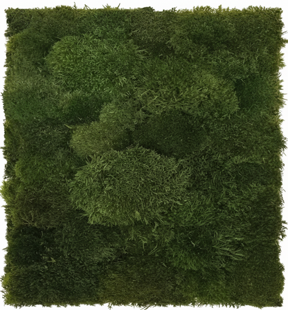 Mood moss panel