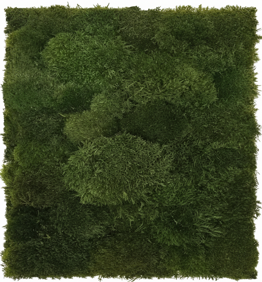 Mood moss panel