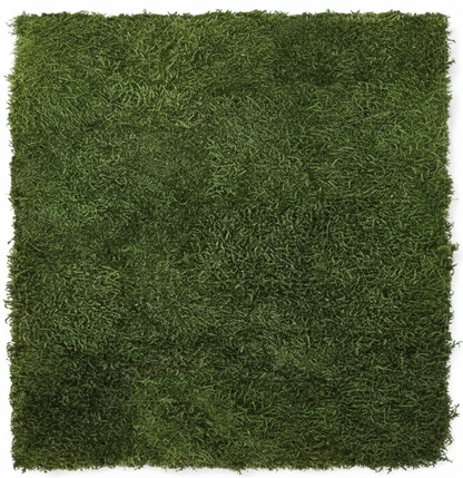 Flat Moss Panel