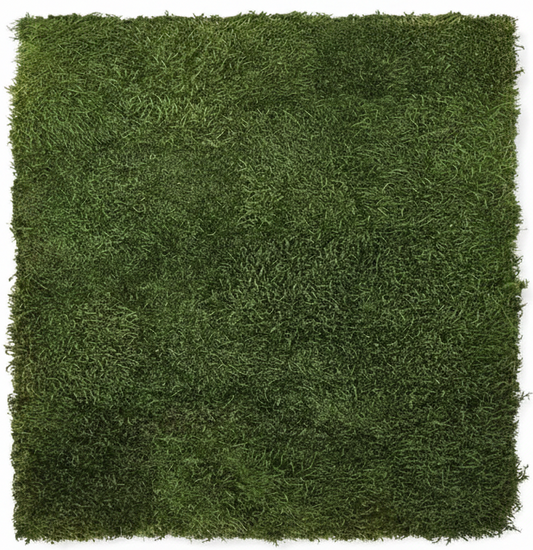 Flat Moss Panel