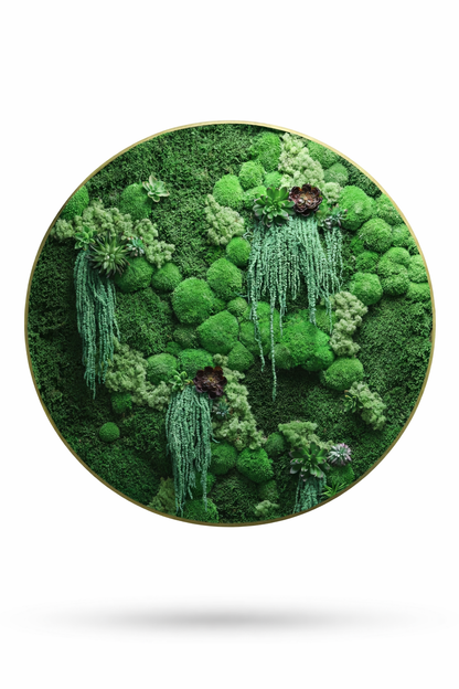 Succulent Magic