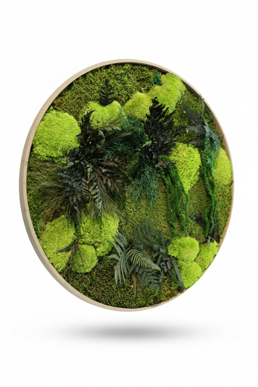 Fern it up