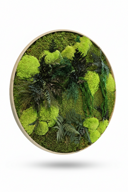 Fern it up