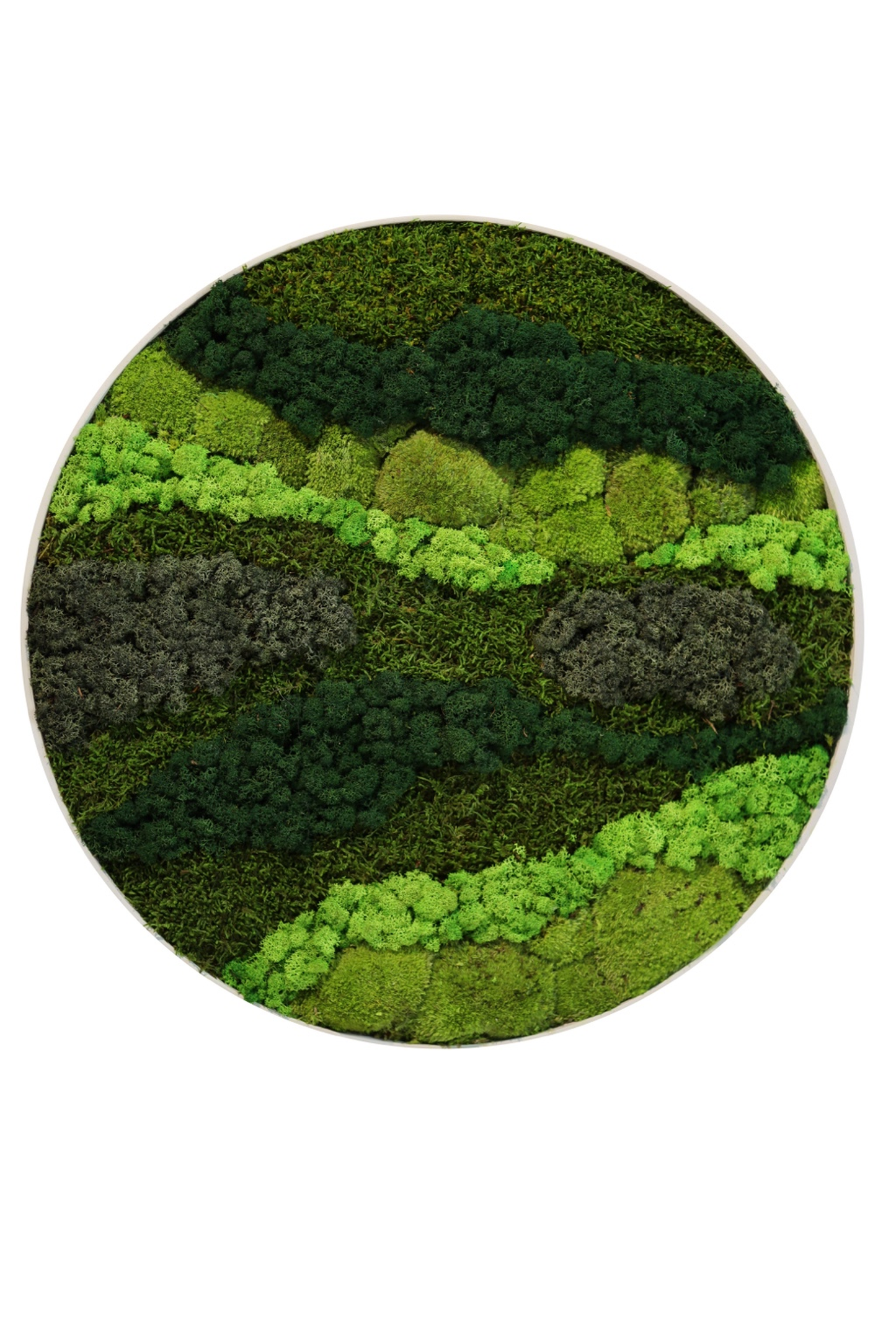 Green lines