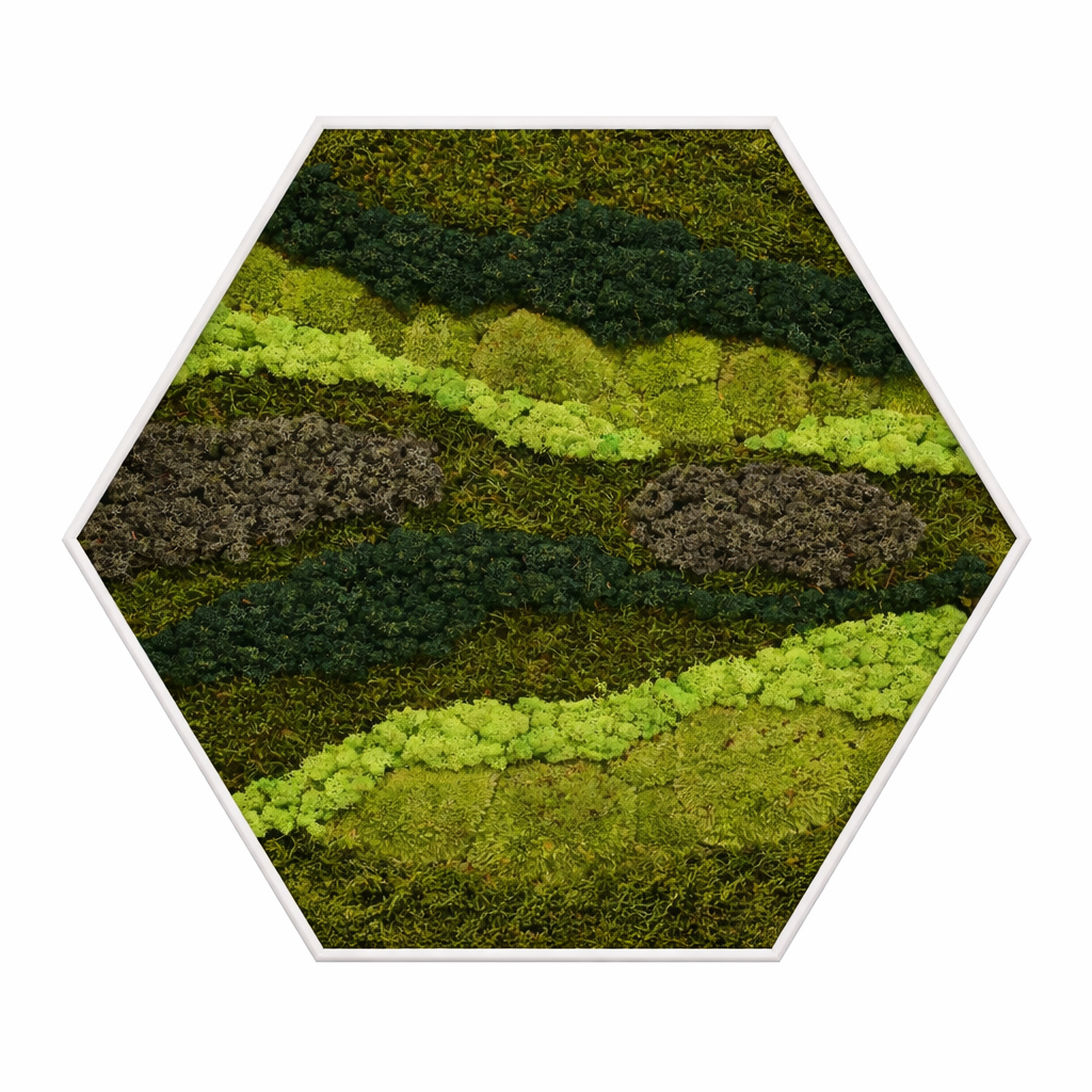 Green lines