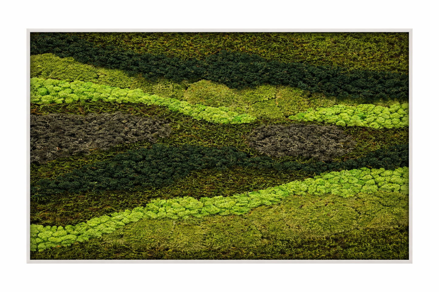 Green lines