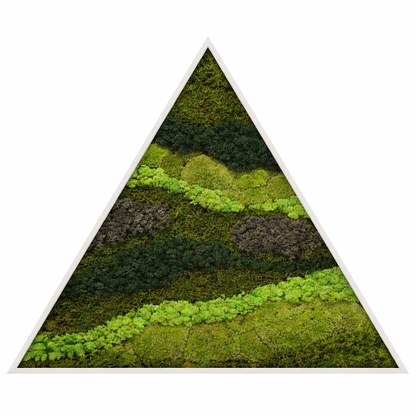 Green lines
