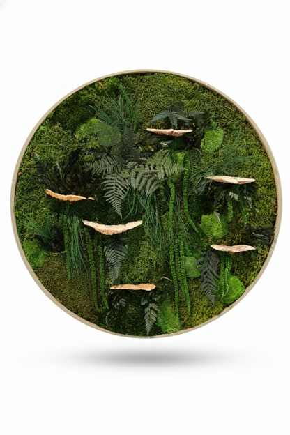 Mushrooms Love
