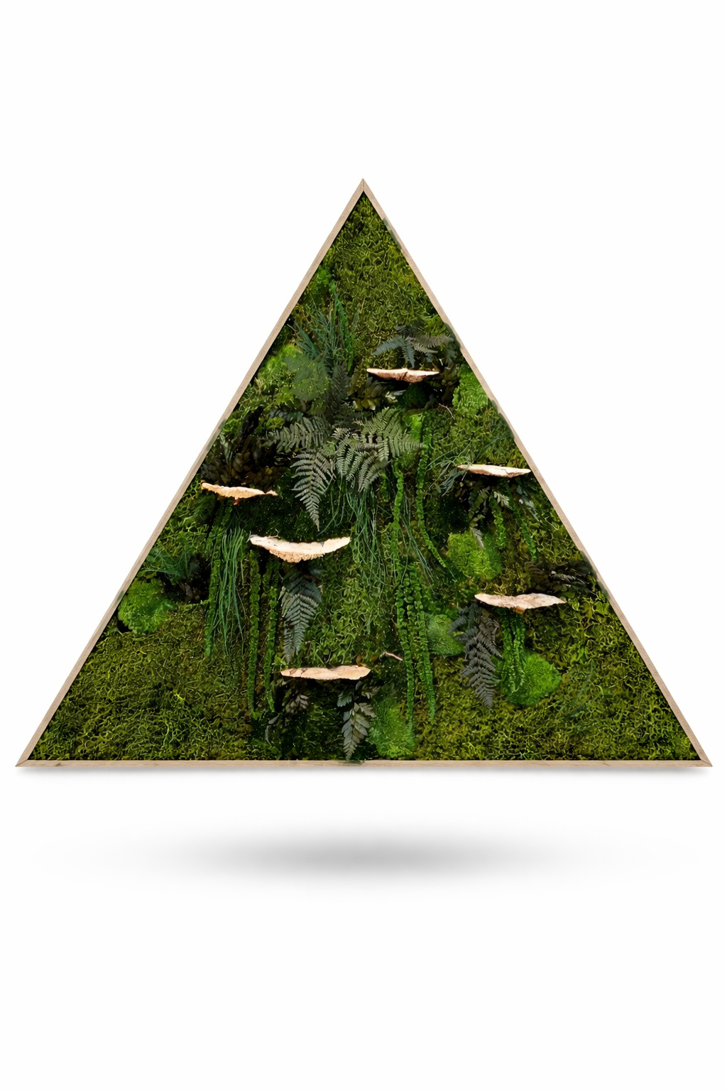 Mushrooms Love
