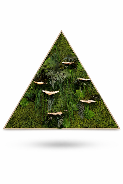 Mushrooms Love