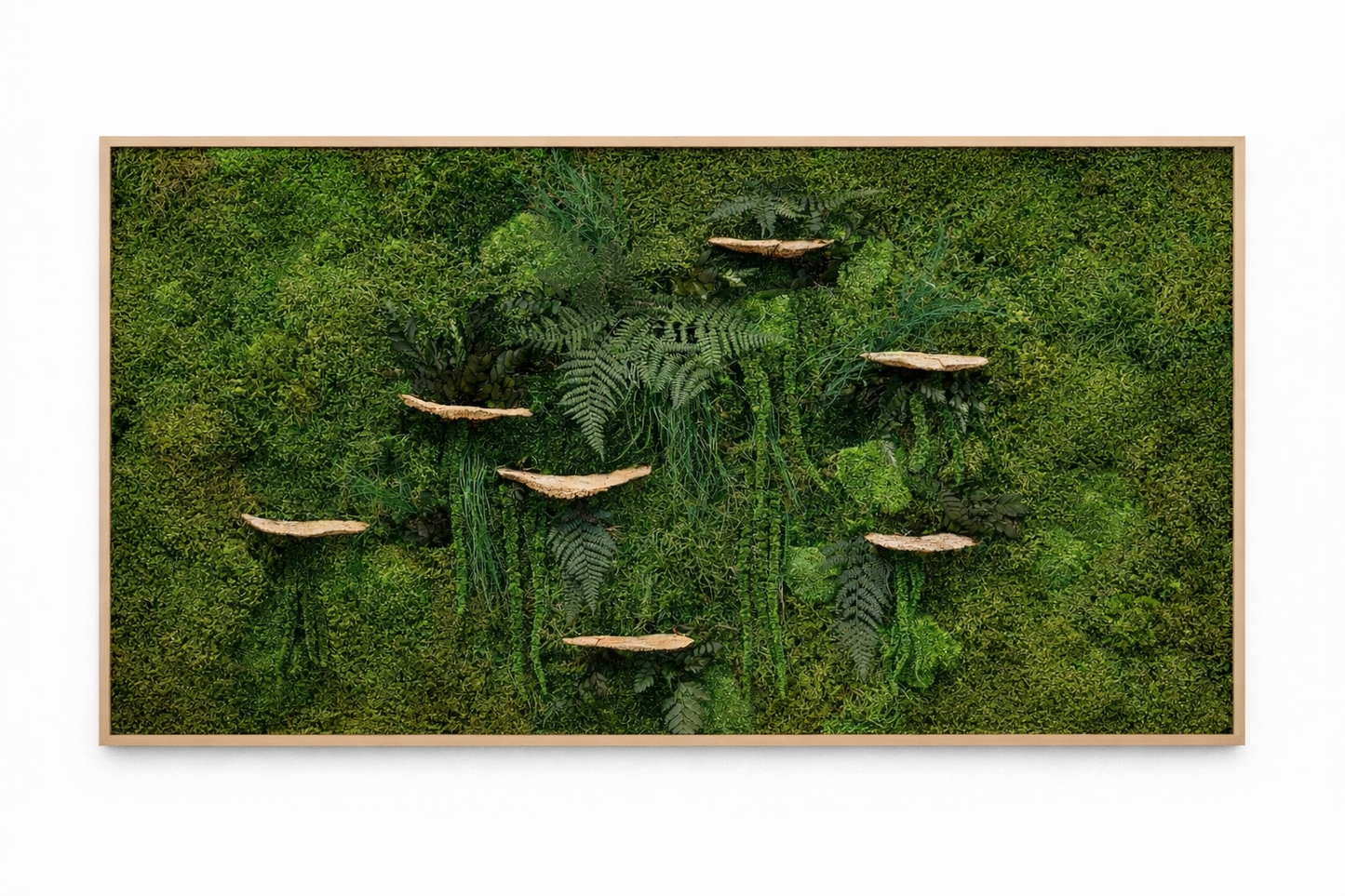 Mushrooms Love