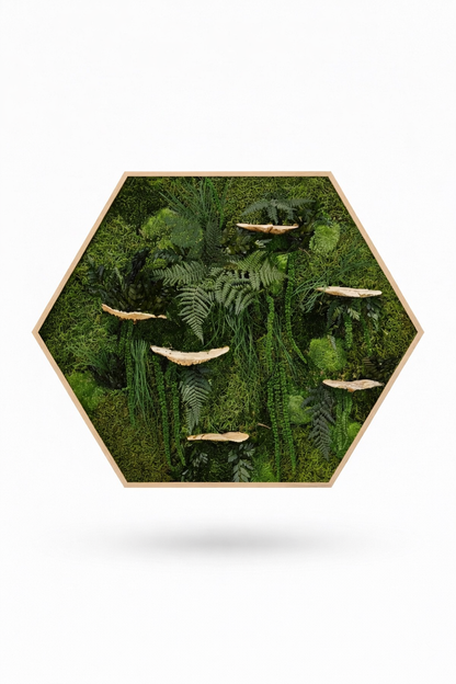Mushrooms Love