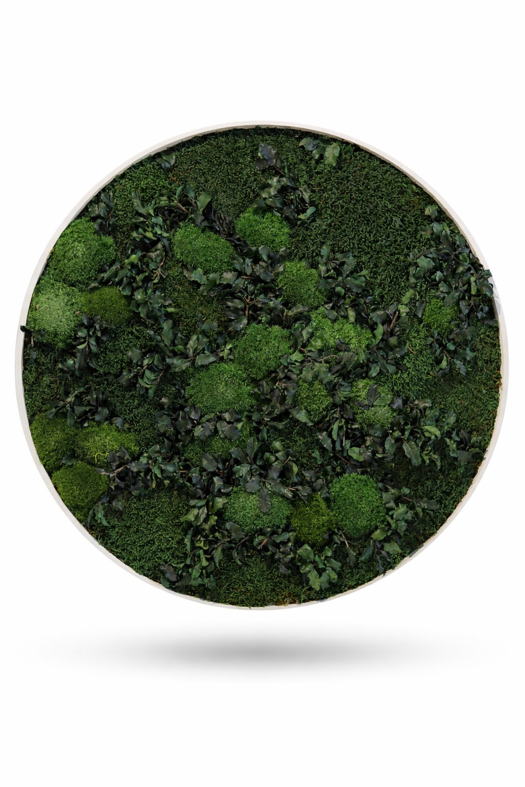 Mossy Path