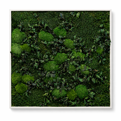Mossy Path