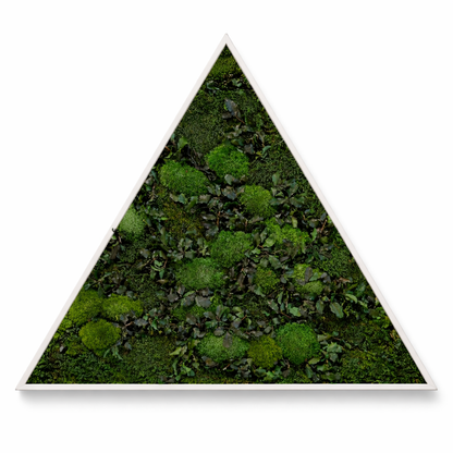 Mossy Path