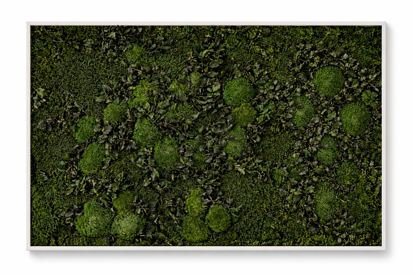 Mossy Path