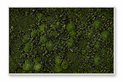 Mossy Path