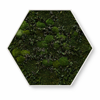 Mossy Path