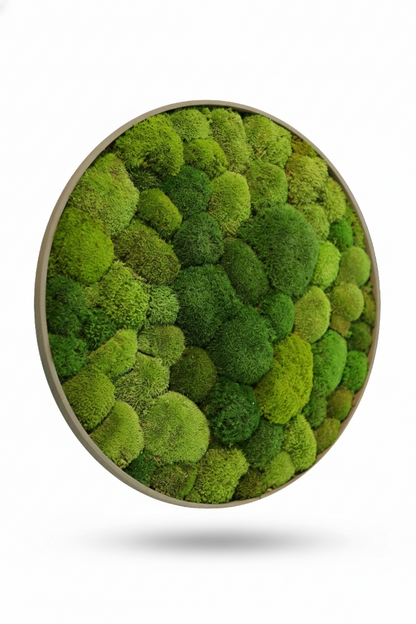 Ball Moss