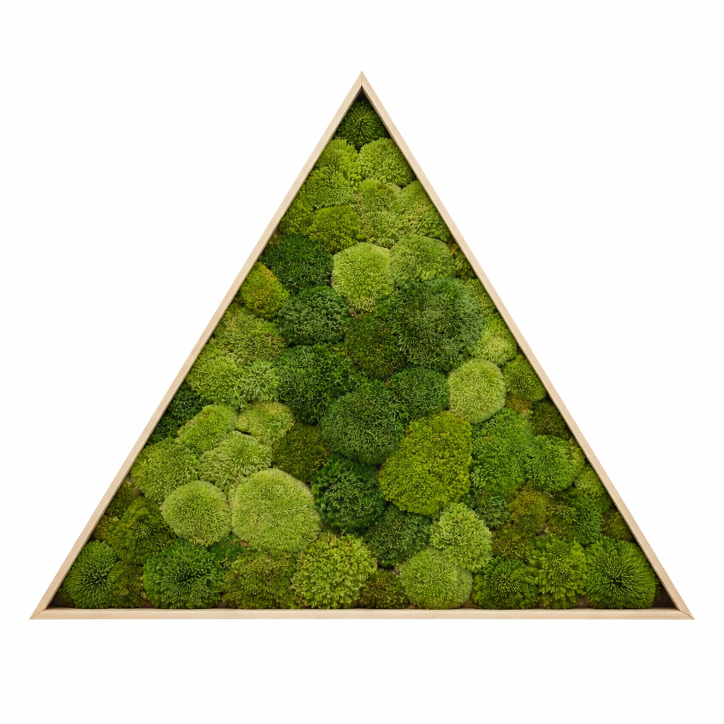 Ball Moss