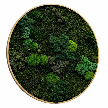Mixed Moss Dark