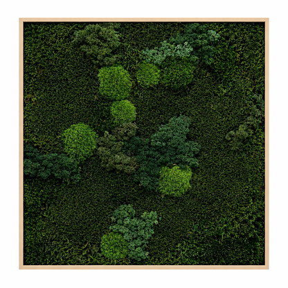 Mixed Moss Dark
