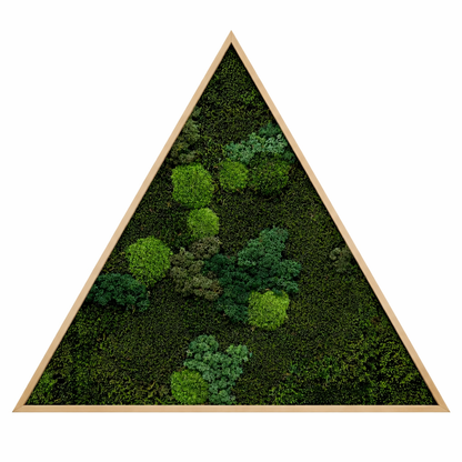 Mixed Moss Dark