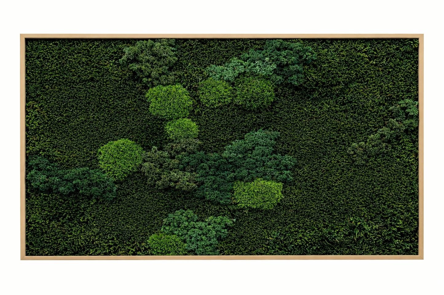 Mixed Moss Dark