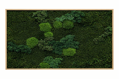 Mixed Moss Dark