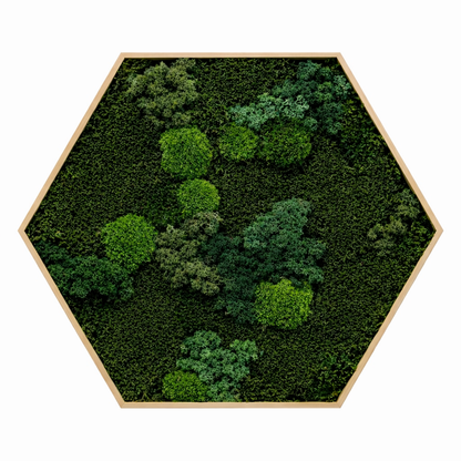Mixed Moss Dark