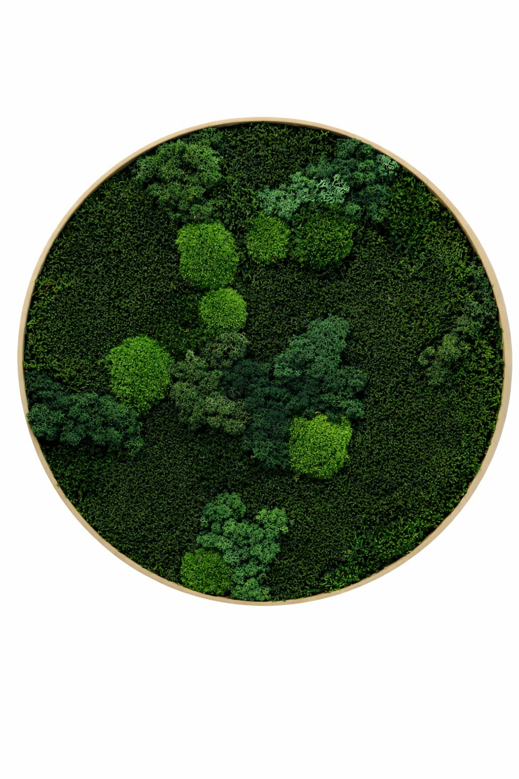 Mixed Moss Dark