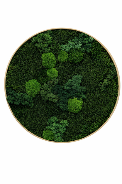Mixed Moss Dark