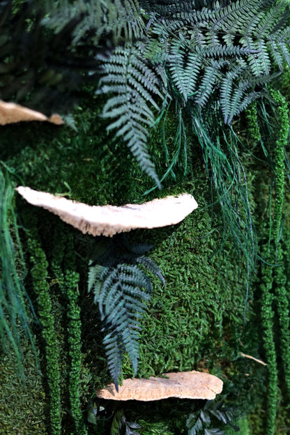 Mushrooms Love