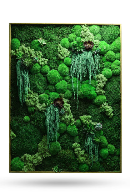 Succulent Magic