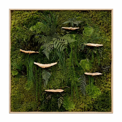 Mushrooms Love