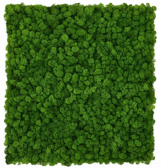 Reindeer Moss Panel